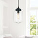 Glass 1 Light 7 inch Black Down Mini Pendant Ceiling Light in Clear